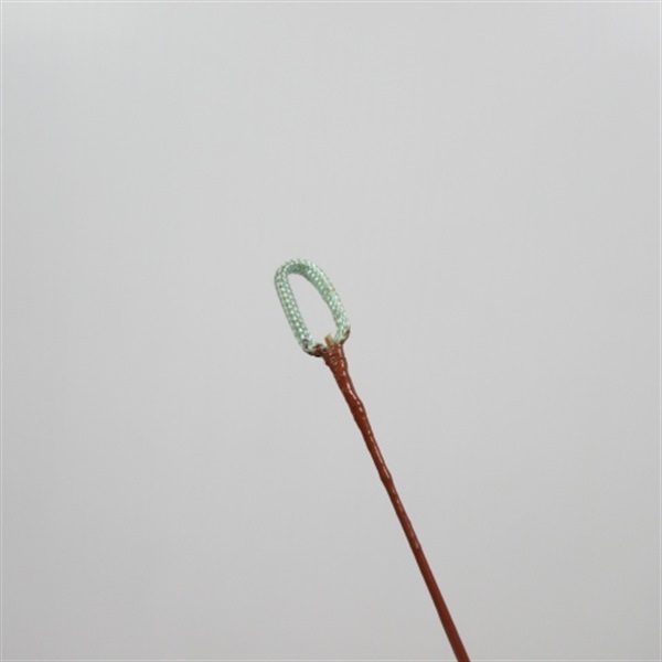 竹竿１３